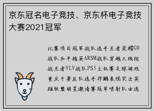 京东冠名电子竞技、京东杯电子竞技大赛2021冠军